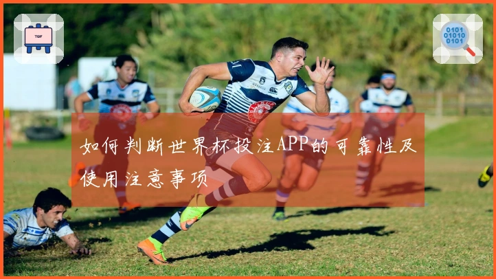 如何判断世界杯投注APP的可靠性及使用注意事项