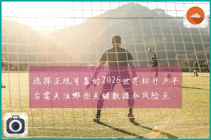 选择正规可靠的2026世界杯开户平台需关注哪些关键数据和风险点