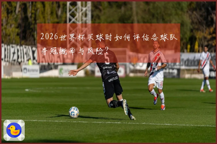 2026世界杯买球时如何评估各球队夺冠概率与风险？