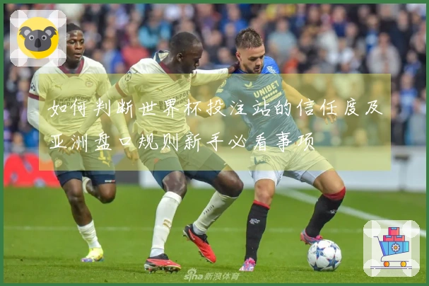 如何判断世界杯投注站的信任度及亚洲盘口规则新手必看事项